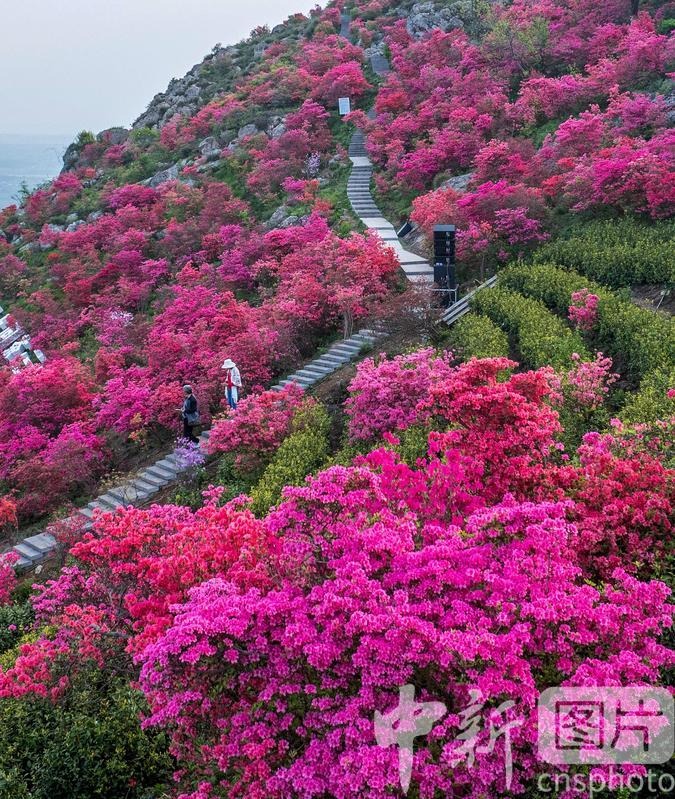 行程图片
